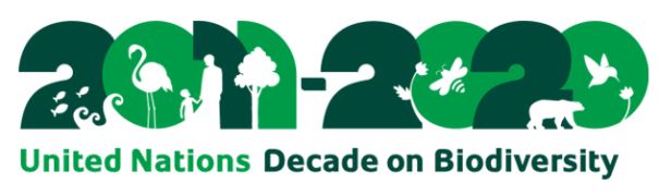 Captura de Tela (50).png