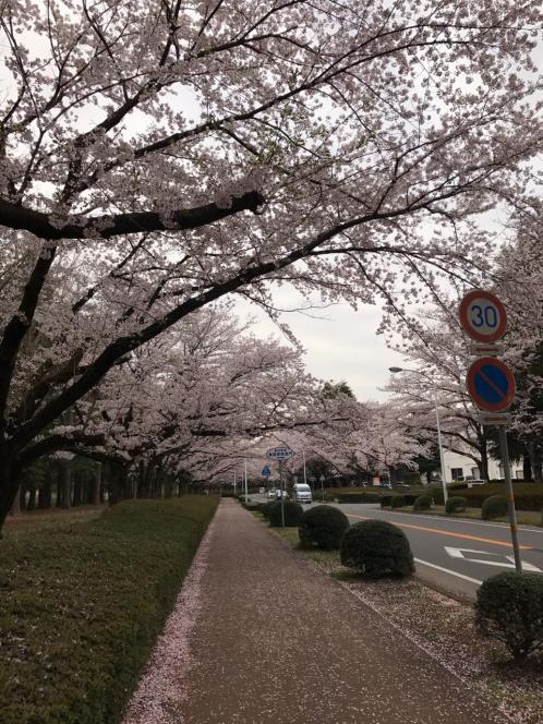 WhatsApp Image 2020-04-14 at 14.06.44